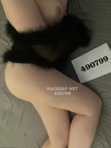 Проститутка Усть-Каменогорска Анкета №490799 Фотография №3712265